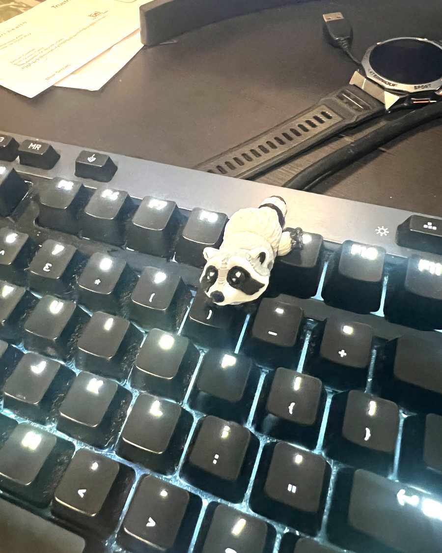The raccoon figure perched on the top row of a backlit keyboard.